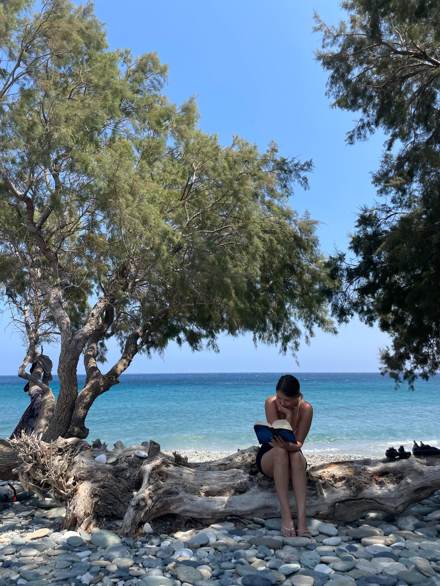 "A woman sits on a driftwood log at Donkey Beach, Tinos, Greece, reading under a tree. The turquoise Aegean Sea and serene atmosphere make for a perfect escape."